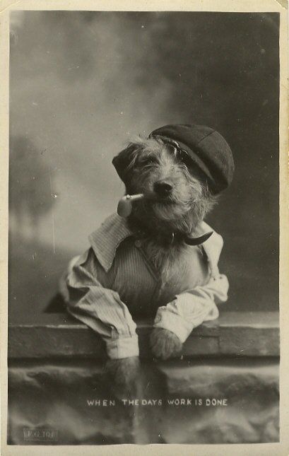 Pre-Lolcat: 13 Adorable Vintage Dogs in Costume | Rover Blog Photography Funny, Dogs Photography, Great Grandparents, Photography Vintage, Funny Photography, Cat Photography, Dog Costumes, Sweet Dogs, Old Dogs