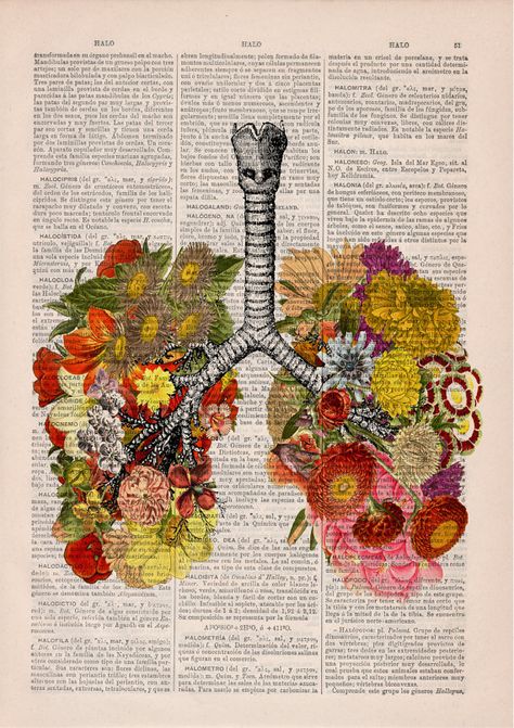 flower lungs Vintage Aestheticwallpaper, Kunst Collages, Art Amour, Gcse Art Sketchbook, Retro Kunst, Human Anatomy Art, Music Tattoos, Medical Art, Gcse Art