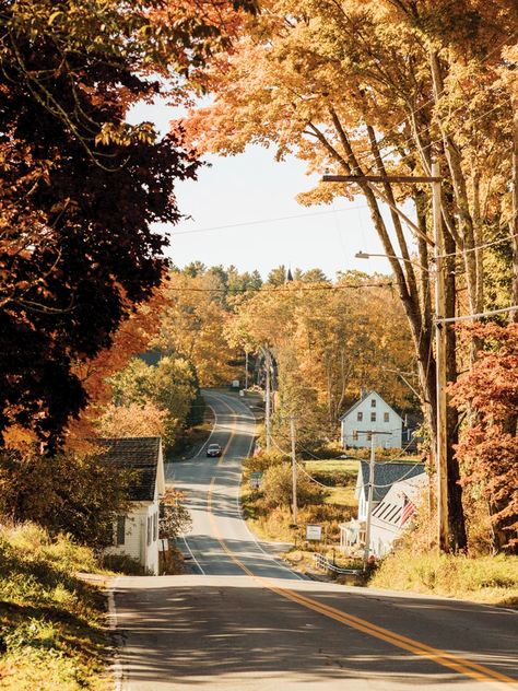 3 Fabulous Foliage Forays on the Blue Hill Peninsula | Down East Magazine October Feels, Blue Hill Maine, Town Scenery, Fall Foilage, Gold Foliage, Nature Fall, Cabin Aesthetic, Down Town, Maine Coast