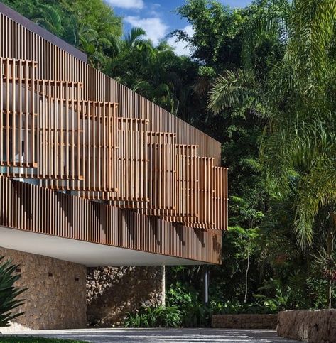 Delta House, Tropical Architecture, Modern Extension, Weekend House, Timber Structure, Facade Architecture, Facade Design, Residential Architecture, Patio Design