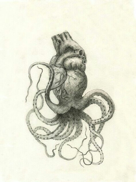 Sketch Octopus, Octopus Heart, Tentacle Tattoo, Kraken Tattoo, Anatomical Heart Art, Tentacle Art, Gothic Drawings, Octopus Tattoo Design, Graphisches Design