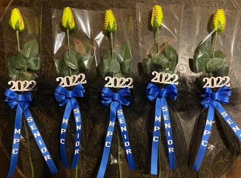 Softball Roses, Volleyball Locker, Volleyball Senior Night, High School Softball, Senior Sash, Senior Softball, Senior Day, Senior Football, Softball Season