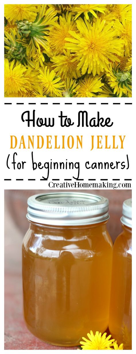 Water Ideas, Dandelion Jelly, Bath Water, Easy Recipe, Jelly, Dandelion, Jam, Honey, Bath