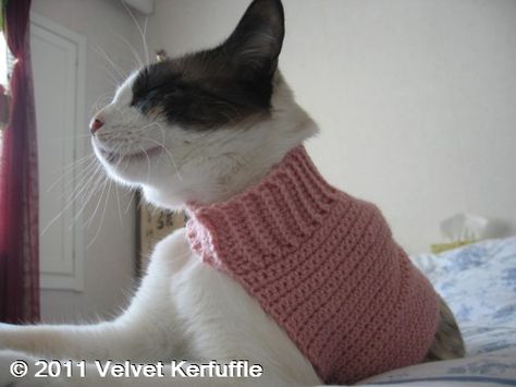 10 FREE Crochet Patterns For Your Cat Cat Sweater Pattern, Pet Crochet, Crochet Pets, Kitten Sweater, Crochet Pet, Crocheted Stuff, Pet Sweaters, Knifty Knitter, Long Cat