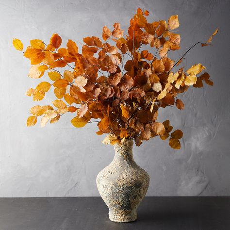 Preserved Beech Leaf Bunch - Terrain Beech Leaves, Picture References, Dried Arrangements, Holiday Giveaway, Floral Foliage, Autumn Ideas, Flower Installation, Outdoor Garden Furniture, Fall Floral