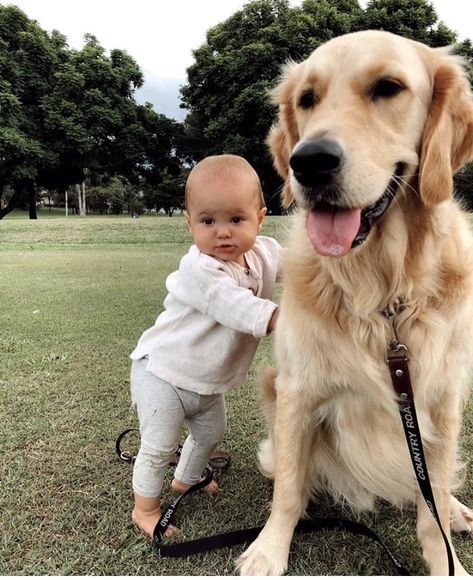 Family With Golden Retriever, Golden Retriever With Baby, Golden Retriever Family, Kids Vision Board, Dog And Baby, Future Son, Toddler Photoshoot, Book Photos, Dream Future