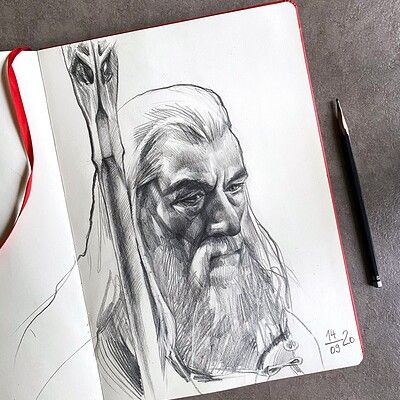 Gandalf Sketch, Frodo Drawing, Gandalf Drawing, Toh Yasu, Fantasy Diy, Pencil Drawing Portrait, Drawing Pin, Lotr Art, Drawing Portrait