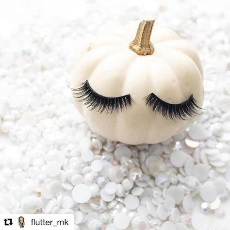 Spooky Lash Aesthetic, Christmas Lashes, Halloween Lashes, Volume Eyelash Extensions, Makeup Help, Eyelash Tweezer, Halloween Pins, Lash Artist, Instagram Inspo