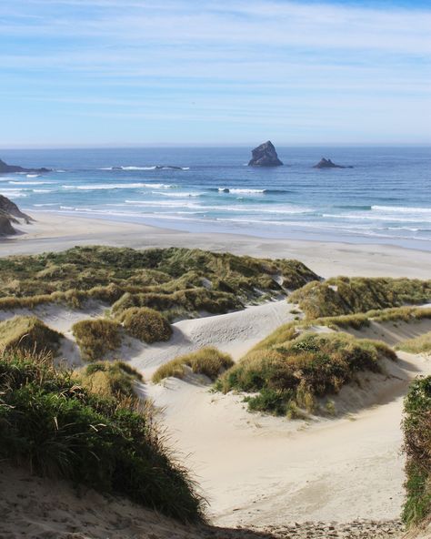 View of Sandfly Bay, a beautiful white sand beach on the Otago Peninsula in Dunedin, New Zealand. New Zealand Dunedin, New Zealand Beach Aesthetic, Otago New Zealand, New Zealand Life, New Zealand Beaches, Aesthetic New Zealand, New Zealand Aesthetic, Dunedin Nz, New Zealand Nature