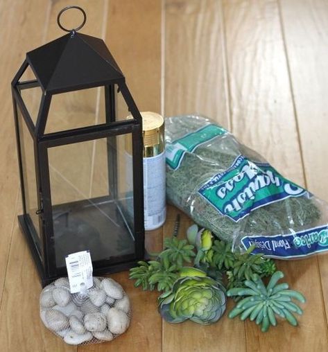 Terrarium Tutorial, Lantern Terrarium, Make A Terrarium, Diy Lantern, Indoor Christmas Lights, Lantern Decor, Fairy House Diy, Lantern Ideas, Terrarium Decor