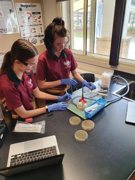 Senior science students are all working on their Student Experiment – otherwise known as the Internal Assessment 2. Dynamics Physics, Refraction Of Light, Christian College, Latex Gloves, Science Student, What Is Happening, Collaborative Learning, Girl Celebrities, Learning Process