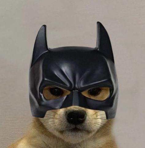 Cool Batman Pfp, Batman Cat Pfp, Batman And Spiderman Pfp, Funny Batman Pfp, Batman Funny Pfp, Cute Batman Pfp, Batman Pp, Profile Picture Batman, Batman Memes Funny