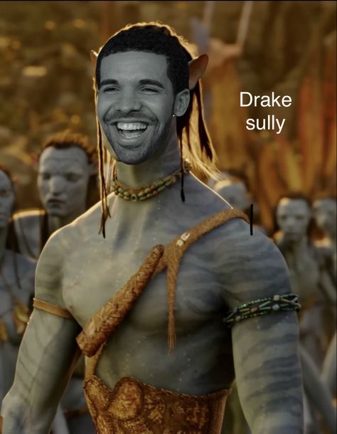 Texas Meme, Sully Avatar, Animal Memes, Drake, Avatar, Texas, Collage, Memes, Pins