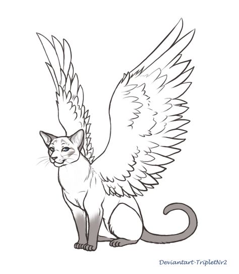 Commish-Siamese Angel by TripletNr2 Cat With Angel Wings, Drawing A Cat, Cat With Wings, Simple Cat Drawing, Frida Art, Wings Drawing, Time Drawing, Cat Doodle, Cute Sketches