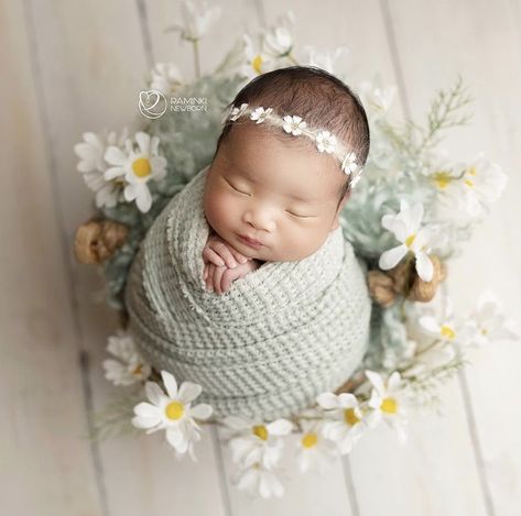 Daisy Newborn Pictures, Spring Newborn Pictures, Newborn Basket, Foto Newborn, Newborn Family Photos, Newborn Baby Photoshoot, Newborn Wrap, Baby Poses, Newborn Baby Photos