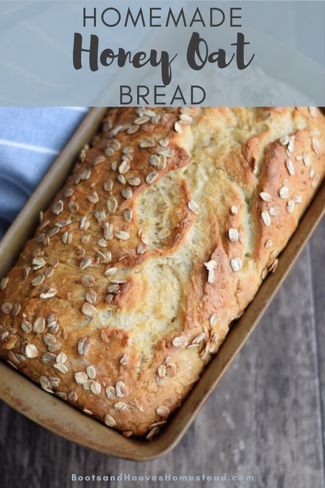 Honey Oat Bread, Oat Bread, Honey Bread, Aesthetic Health, Tattoo Health, Bread Maker Recipes, Homemade Bread Recipes Easy, Artisan Bread Recipes, Honey Oats