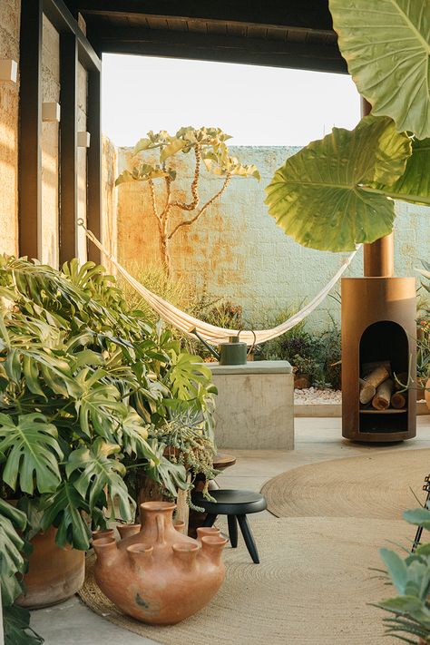 Rooftop Terrace Design Ideas, Terrace Design Ideas, Green Terrace, Drought Resistant Plants, Rooftop Terrace Design, Rooftop Design, Mexico Style, Terrace Design, Rooftop Garden