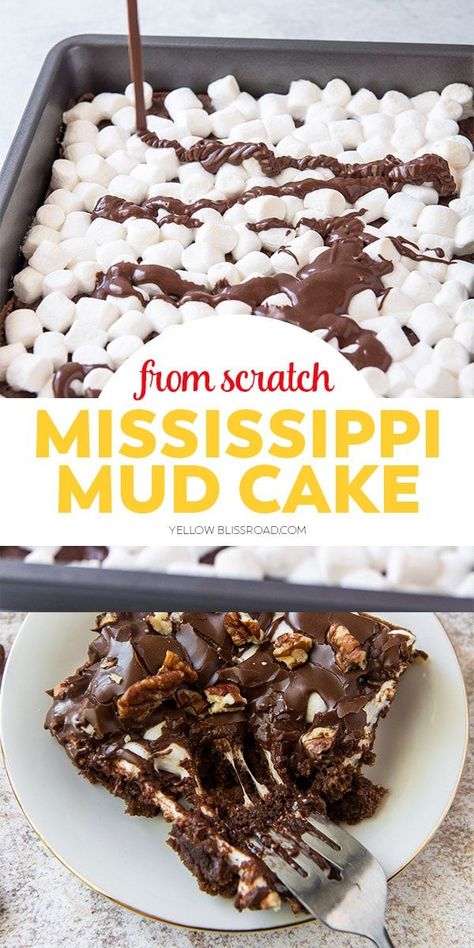 Missippi Mud Cake, Mud Cake Recipe, Chocolate Glaze Recipes, Gooey Chocolate Cake, Mississippi Mud Cake, Mississippi Mud Pie, Mud Cake Recipes, Cake Base, Mississippi Mud