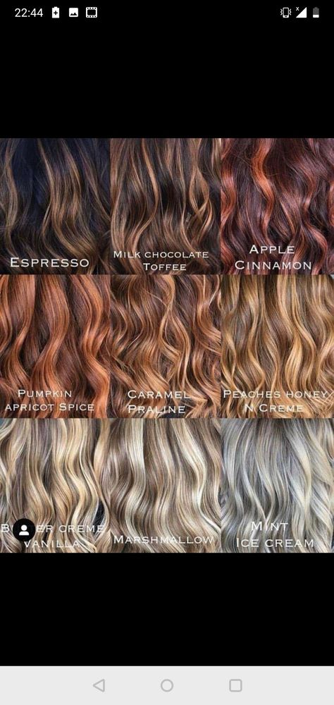 Unique Balayage Hair, Caramel Hair Colour, Honey Brown Hair Color, Caramel Hair Color, Hairstyle Guide, Caramel Brown Hair, Balayage Hair Caramel, Brown Hair With Caramel Highlights, Highlights Curly Hair