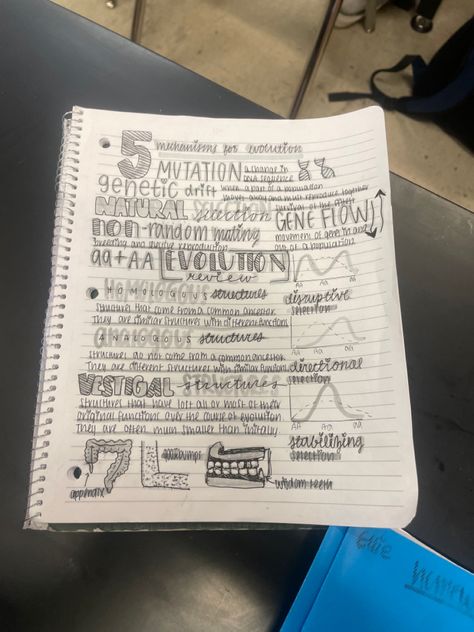 #aesthetic #notes #notetaking #notebook #science #inspiration #handwriting #writing #school #study #student #bio #biology Notes Handwriting, Neat Notes, Science Inspiration, Notes Science, Handwriting Inspo, Inspiration Sketch, Emma Watson Style, Writing School, Aesthetic Notes