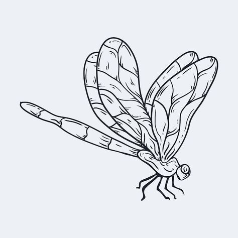 Insect Outline Drawing, Simple Dragon Fly Drawing, Dragon Flies Drawings, Dragon Fly Tattoo Stencil, Dragon Fly Outline, Dragonfly Drawing Art, Dragonfly Drawing Sketch, Drawings Of Dragonflies, Simple Dragonfly Drawing