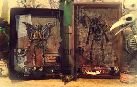 Fairy Specimen, Creepy Fairy, Fairy Skeleton, Vintage Medicine Bottle, Dark Deco, Tiny Glass Jars, Halloween Shadow Box, Diy Shadow Box, Creation Station