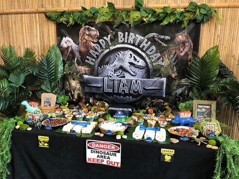 Jurassic World Dessert Table, Birthday Candy Table, Candy Dessert Table, Dinosaur Snacks, Dinasour Birthday, Jurassic Park Birthday Party, Jurassic Park Party, Dinosaur Birthday Theme, Jurassic Park Birthday