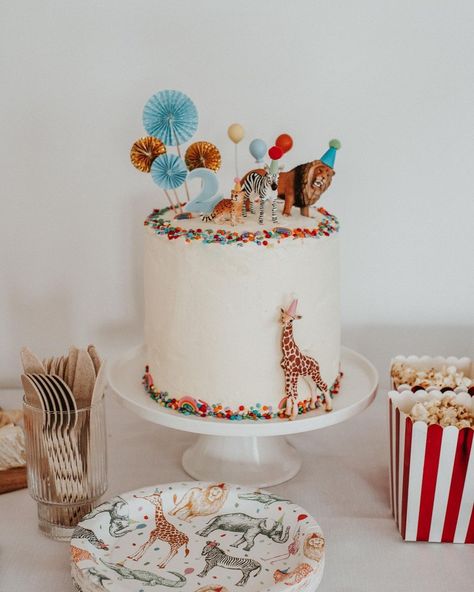 https://www.instagram.com/p/CfgV7T0ONNF/?igshid=MDJmNzVkMjY= Animals Cakes Birthday, Animal Party Cake, Circus Birthday Cake, Jungle Birthday Cakes, Thematic Cake, Circus Cake, Melbourne Home, Wild One Birthday Party, Two Wild