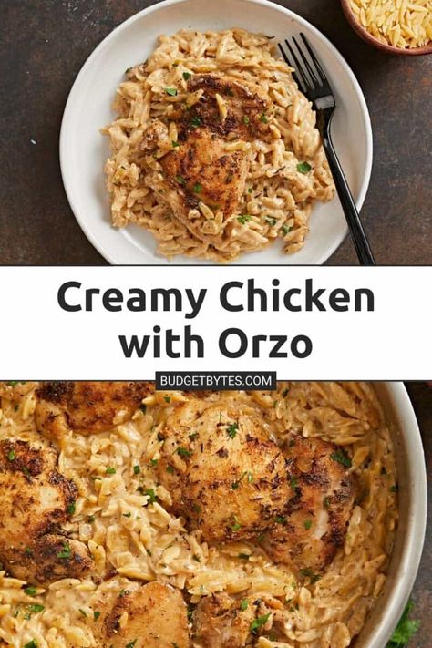 Creamy Chicken And Orzo Skillet - Budget Bytes Orzo Creamy, Creamy Skillet Chicken, Orzo Skillet, Creamy Chicken Dish, Chicken And Orzo, Easy Skillet Dinner, Orzo Dishes, Orzo Recipes, Chicken Orzo