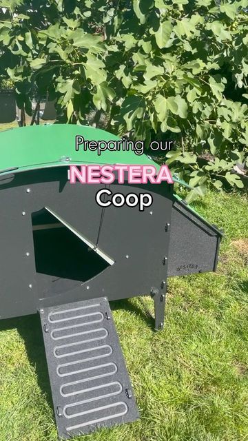 paulas chicks on Instagram: "now that we added the bedding our chickens can move in😍 The coop in the video is the Nestera „Chicken Lodge Large” you can get automatic 5% off with the link in our bio! Great facts about the Nestera Coops: - 100% recycled plastic - Made with green energy - Red mite resistant - Easy to clean - 25 year warranty Both of the beddings and the herbal mix are from www.eierschachteln.de / @eierschachteln.de #werbung #anzeige @nestera.uk @nestera_deutschland #nestera #ch Nestera Chicken Coop, Chicken Coops, Green Energy, Chicken Coop, Move In, Coop, Recycled Plastic, Facts About, Recycling