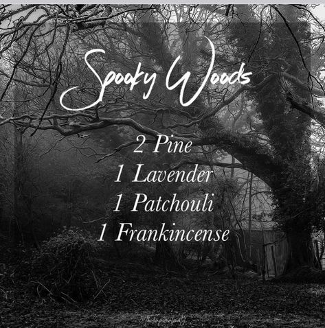 Spooky Woods, Simmer Pots, Essential Oil Perfumes Recipes, Essential Oil Combinations, Essential Oil Diffuser Blends Recipes, Perfume Recipes, Essential Oils Guide, Essential Oils Herbs, Oil Diffuser Recipes