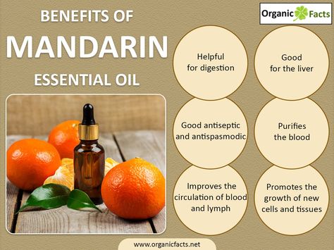 The health benefits of Mandarin Essential Oil can be attributed to its properties like anti septic, anti spasmodic, circulatory, cytophylactic, depurative, digestive, hepatic, nervous relaxant, sedative, stomachic and tonic. Mandarin is a citrus fruit which is also known as Mandarin Orange or Tangerine. But there is a slight difference. Mandarin is more yellow in colour and come with pips while Tangerine is more orange in colour and is without pips. So, Mandarin Essential Oil is also called ... Terra Essential Oils, Mandarin Essential Oil, Doterra Essential Oils Recipes, Fruit Benefits, Essential Oil Blends Recipes, Essential Oil Benefits, Oil Benefits, Orange Essential Oil, Oil Uses