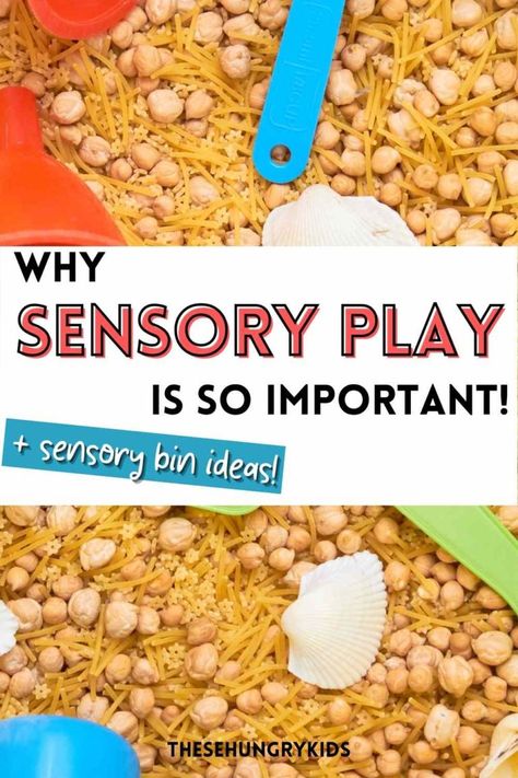 Why Sensory Play Is So Important - These Hungry Kids Why Are Sensory Bins Important, Sensory Tables, Sensory Bag, Sensory Bags, Halloween Sensory, Sensory Boxes, Sensory Bottles, Sensory Stimulation, Sensory Table