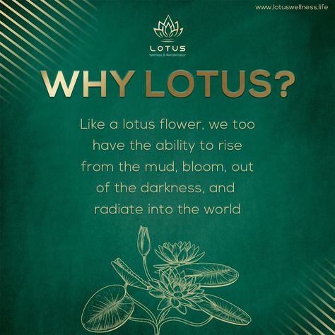 rehabilitation center in coimbatore,rehabilitation center in tamilnadu. Lotus Flower Definition, What Does The Lotus Flower Mean, Quotes About Lotus Flower, Lotus Flower Quotes Inspirational, Awaken Quotes, Lotus Book, Lotus Quotes, Lotus Flower Quote, Lotus Quote