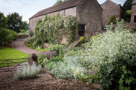 Wild Garden Design, Farm Building, Garden Seating Area, Herb Farm, Wild Garden, Stone Barns, Farm Buildings, Citrus Trees, Farm Stay