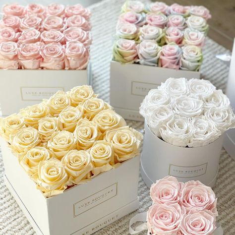 Bouquet Luxury, Rose Dome, Everlasting Bouquet, Forever Roses, Luxury Florists, Bouquet Box, Enchanted Rose, Box Roses, Forever Rose