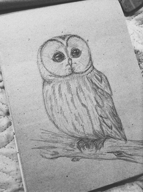 Owls Drawing, Animal Drawings, Owls, Female Sketch, Drawings, Animals, Quick Saves, Art