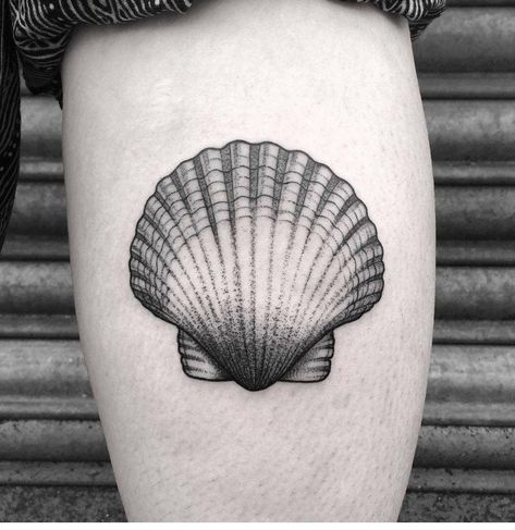 Scallop Shell Tattoo, Shell Tattoo Design, Camino Tattoo, Seashell Tattoo, Shell Tattoo, Traditional Tattoo Flash Art, Seashell Tattoos, Tattoo Diy, Shell Tattoos