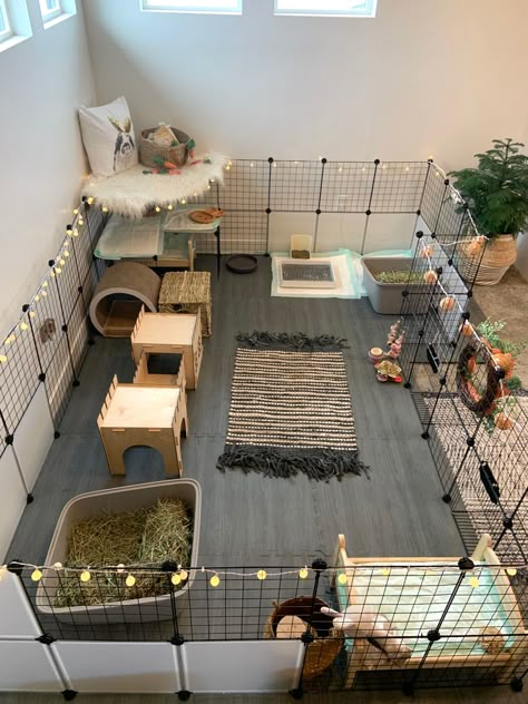 Rabbit Cage Setup, Indoor Bunny House, Diy Bunny Cage, Indoor Rabbit House, Indoor Rabbit Cage, Diy Guinea Pig Cage, Rabbit Habitat, Bunny Cage, Guinea Pig House