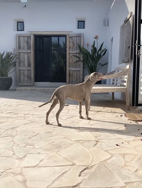 Natural Stone Flooring Outdoor, White Stone Patio, Limestone Flooring Outdoor, Greek Pebble Floor, Flagstone Terrace, Natural Stone Terrace, Natural Sandstone Paving, Spanish Inspired Home, Mexico House Ideas