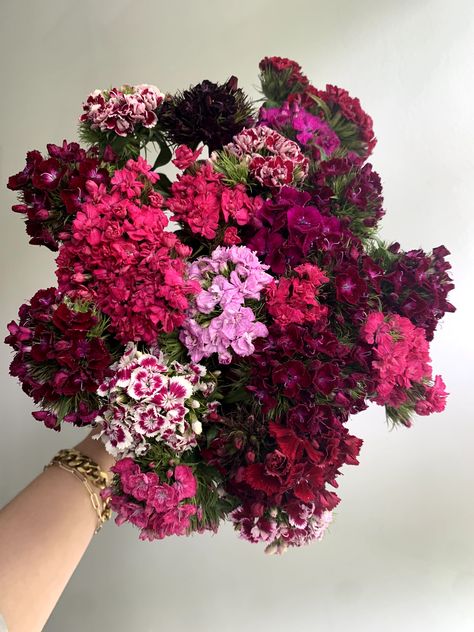 Flower Decoration Ideas, Dark Pink Flowers, Dianthus Flowers, Boquette Flowers, Pink Shades, Nothing But Flowers, How To Make Paper Flowers, Flower Therapy, Beautiful Bouquet Of Flowers