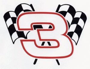 THANKS TO AUSTIN DILLON & THE NO. 3, TALLADEGA SUPERSPEEDWAY OFFERS SPECIAL: 33% OFF RACE-WEEK PRICING FOR THIS SPRING'S GEICO 500 Nascar Flags, Dale Earnhardt Sr, Talladega Superspeedway, Racing Tattoos, Austin Dillon, Flag Tattoo, Tattoo Style Drawings, Funny Decals, Figure Sketching