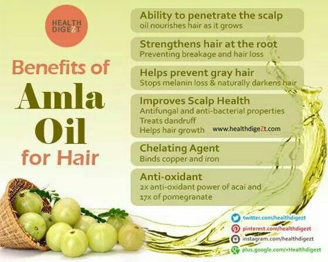 . Darken Hair Naturally, Hair Pigmentation, Prevent Grey Hair, Amla Hair Oil, How To Darken Hair, Help Hair Growth, Amla Oil, Hair Nutrition, Hair Roots