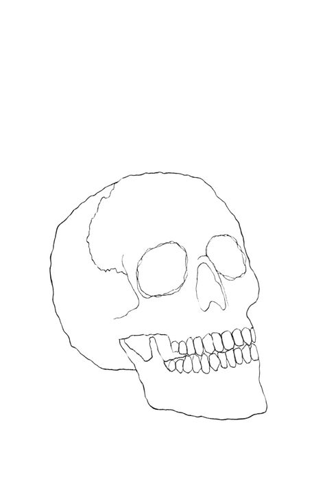 Halloween Drawings Skeleton, Halloween Skull Drawing, Simple Skeleton Drawing, Simple Halloween Drawings, Skeleton Head Drawing, Skeleton Outline, Skull Line Art, Skull Outline, Skeleton Sketch