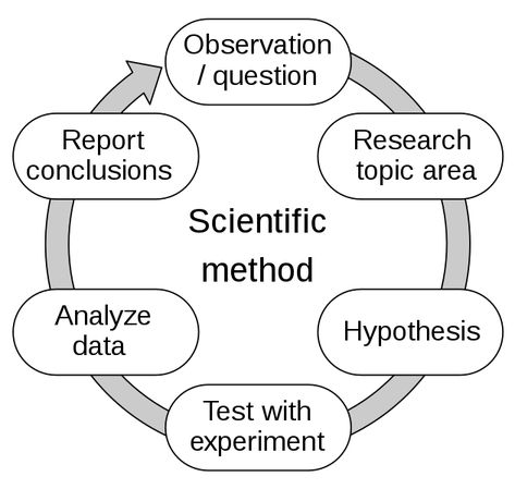 Perception Reality, Inductive Reasoning, Types Of Education, The Scientific Method, Learning Methods, Scientific Method, Research Report, Late 20th Century, Equations