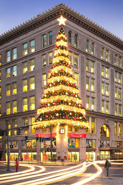 Christmas in Downtown Pittsburgh. Horne's Department Store Christmas tree brings back happy childhood memories. Christmas Tree Store, Downtown Pittsburgh, Pittsburgh Skyline, Pittsburgh City, Xmas Lights, Outdoor Christmas Lights, Christmas Light, Cubicle, Cozy Christmas