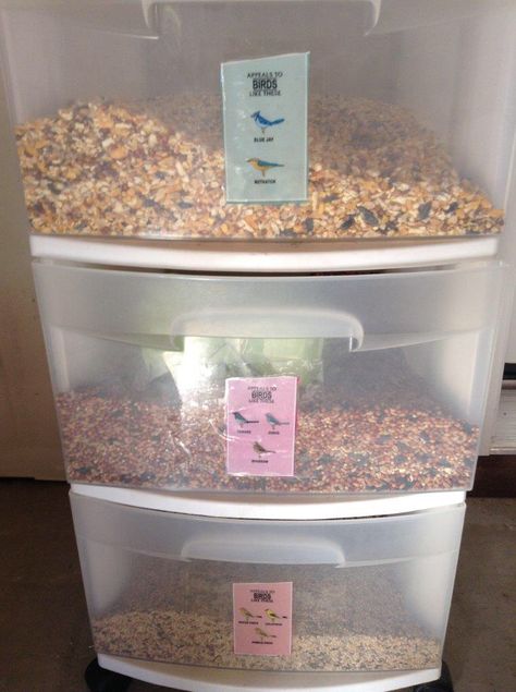 Bird Food Storage Ideas, Bird Seed Storage Ideas, How To Make Bird Seed Cakes, Make Bird Seed Cake, Diy Bird Seed Cakes, Bird Seed Storage, Foraging Toys For Birds, Walk Idea, Bird Food