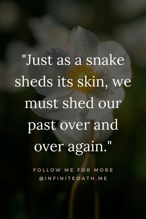 Snake Quotes Beautiful, Snake Shedding Tattoo, Quotes About Snakes, Snake Transformation, Life's Lessons Quotes Wise Words, Snake Quotes, Wisdom Quotes Deep, Healing And Growing, Let Go Of Things