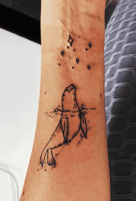 Small Sea Lion Tattoo, Sea Lion Tattoo Simple, Sea Lion Tattoo Ideas, Small Seal Tattoo, Water Animals Tattoo, Seal Tattoo Simple, Leg Tattoo Simple, Seal Tattoo Design, Sea Lion Drawing