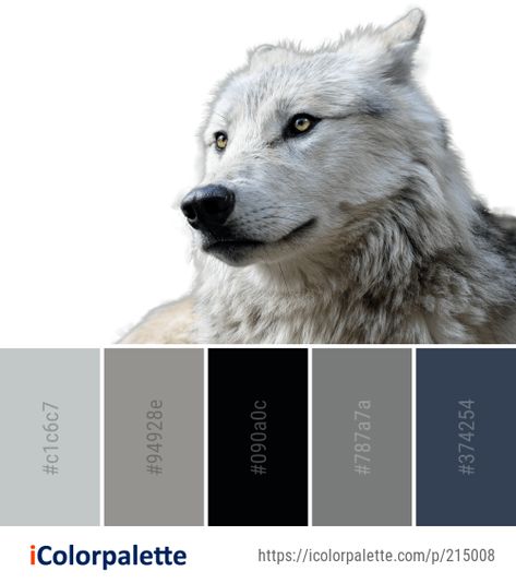 82 Wolf Color Palette ideas in 2020 | iColorpalette Wolf Color Palette, Saarloos Wolfdog, Wolf Room, Wolf Oc, Wolf Colors, Color Palette Ideas, Palette Ideas, Color Reference, Grey Color Palette